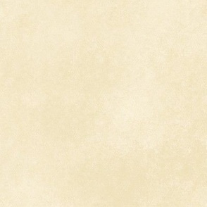Light Yellow Sandy Solid Texture Beige and Tan