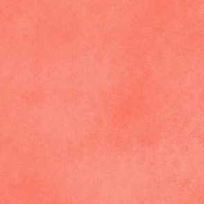 Solid Coral Texture Light Red 