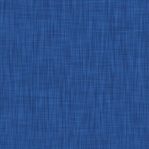 Nautical Blue - Textured Solid Coordinate