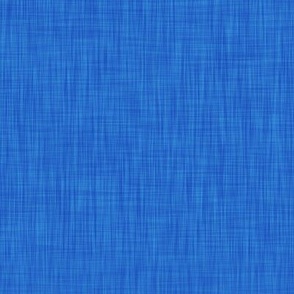 Celtic Blue - Textured Solid Coordinate