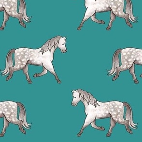 Dapple Grey Horses basic rows on teal - large scale