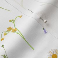 Wild flower sprigs - white