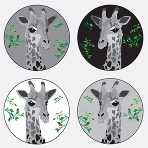 Giraffe green black and white 8x8