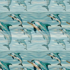 Dolphin in the ocean 
