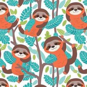 Baby Sloths in Trees