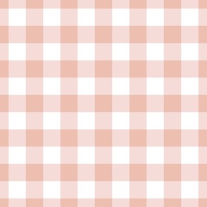 1 inch Peach / Apricot Gingham Check