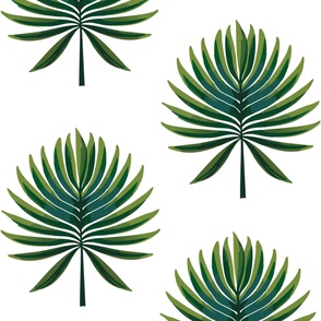 Giant Tropical Palm Leaf Pattern
