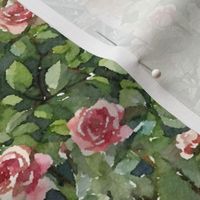 Cottage rose garden watercolor painting