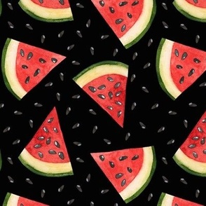Hand Drawn Watercolor Watermelon Slices and Seeds on Black, M