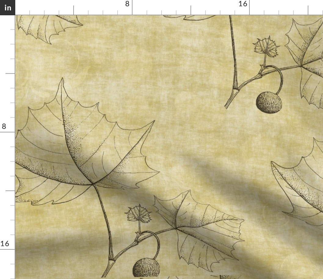 Neutral Sketched Leaves