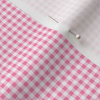 Pink Gingham - 1