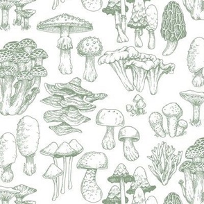 Mushrooms line art green