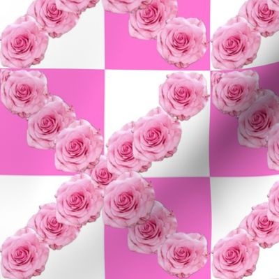 Pink Roses on Pink and White Gingham / Pink Floral Photography