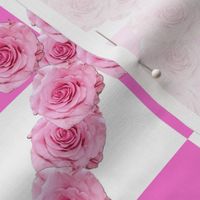 Pink Roses on Pink and White Gingham / Pink Floral Photography