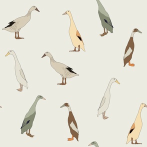 Large Runner Ducks (neutral)