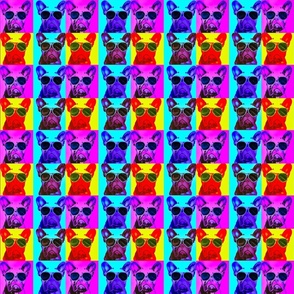 bright pop art style pugs in rows M