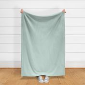 Pastel Mint Green Solid