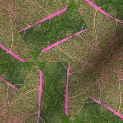 Texture-Leave-PinkGreen