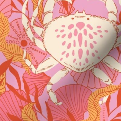 Pink Beach Crab