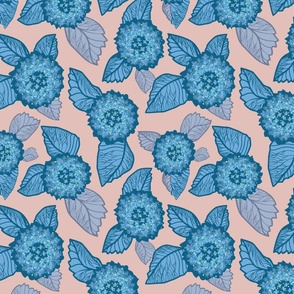 hydrangea_blue_pink_bloom_seamless_stock