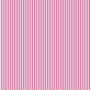 FS Dark Pink and White Thin Stripes