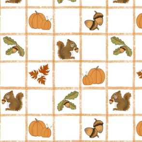 Fall Checkerboard Pumpkins Squirrels Acorns