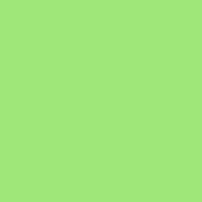 Solid soft green - plain green color - unprinted 