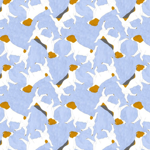 Trotting Russell Terriers - blue