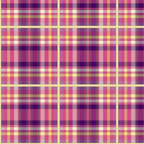 The Willow Benson Tartan