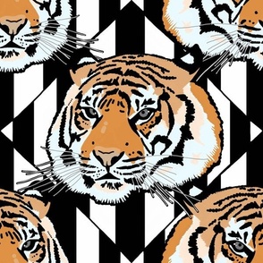 Tiger tiger diamond stripe, medium