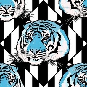 Tiger tiger diamond stripe powder blue small scale