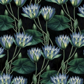 Nostalgic Asian Lotus Springflowers Vintage Garden: Antique Blue Flowers Fabric,  Nelumbonaceae home decor,  black