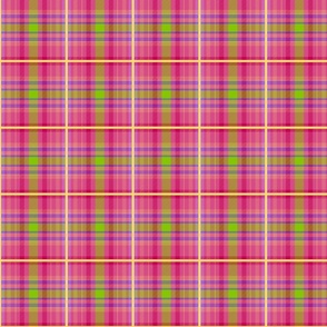 The Julie Smith Tartan