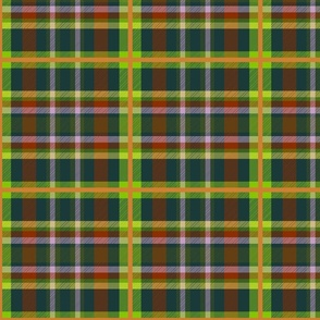 The Aubrey Crane Tartan