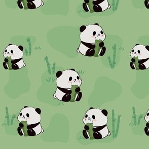 panda eating bamboo 