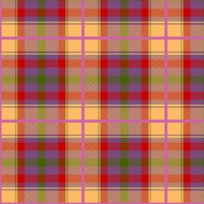 Anne Wilson's Tartan