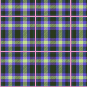 The Stacey Dorsey Tartan