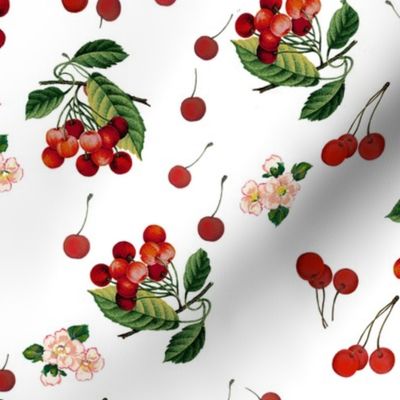 cherries on ICE CREAM