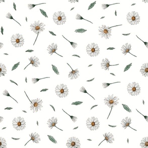 Daisies Flowers Minimalist | Watercolor | Large