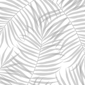 Layered Palm Leaf Fronds Gray Shadow