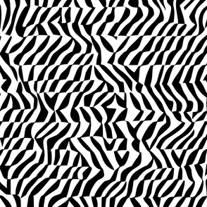 abstract black and white zebra