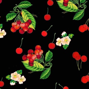 cherries on licorice  black