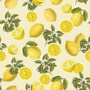 Sunny Vintage Lemon Yellow fruit