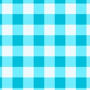 Blue and white Gingham