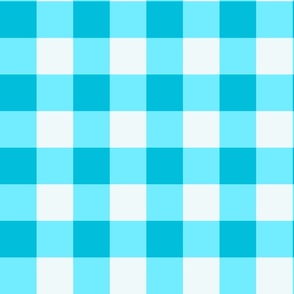 Blue and white Gingham - 2 inch squares approxima