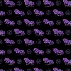 3er  violett Toelter - icelandic horse - black background