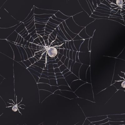 Spider web on black