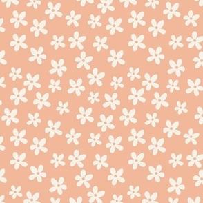 Cream Flowers on peach background 