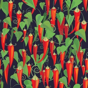 chilli-peppers festival