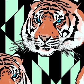 Tiger tiger diamond stripe XL orange and mint